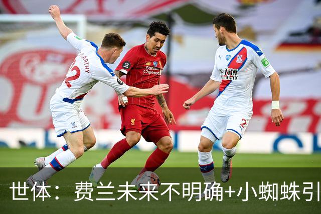 世体：费兰未来不明确+小蜘蛛引援未定，DV9再次进入巴萨视野