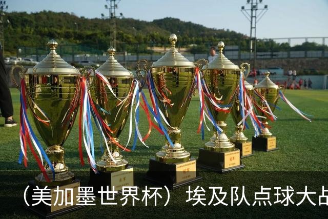 （美加墨世界杯）埃及队点球大战胜澳大利亚队 亚足联队伍全部出局